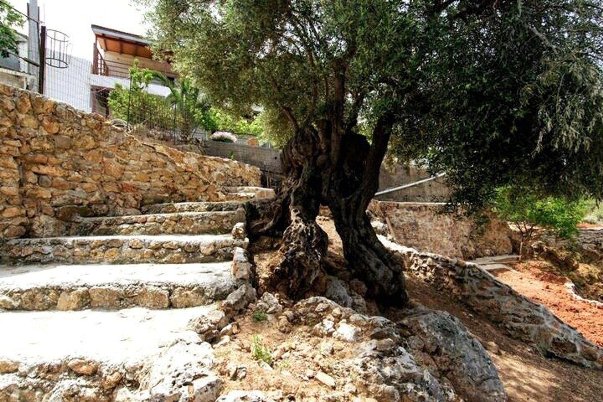Aoria Traditional House With Stuning Mountain View Loulos Exterior photo